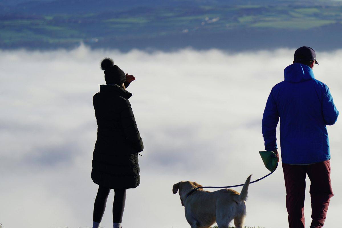 cane e padroni