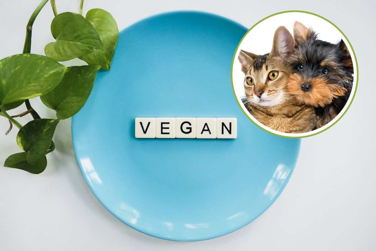 dieta vegana