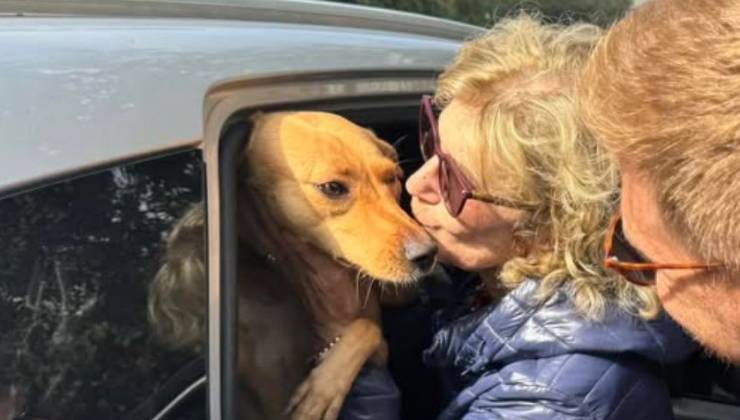 la signora con il cane in auto