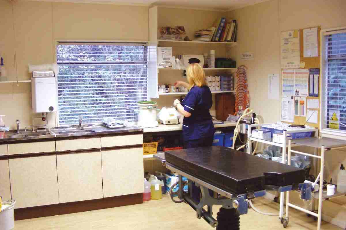 veterinario