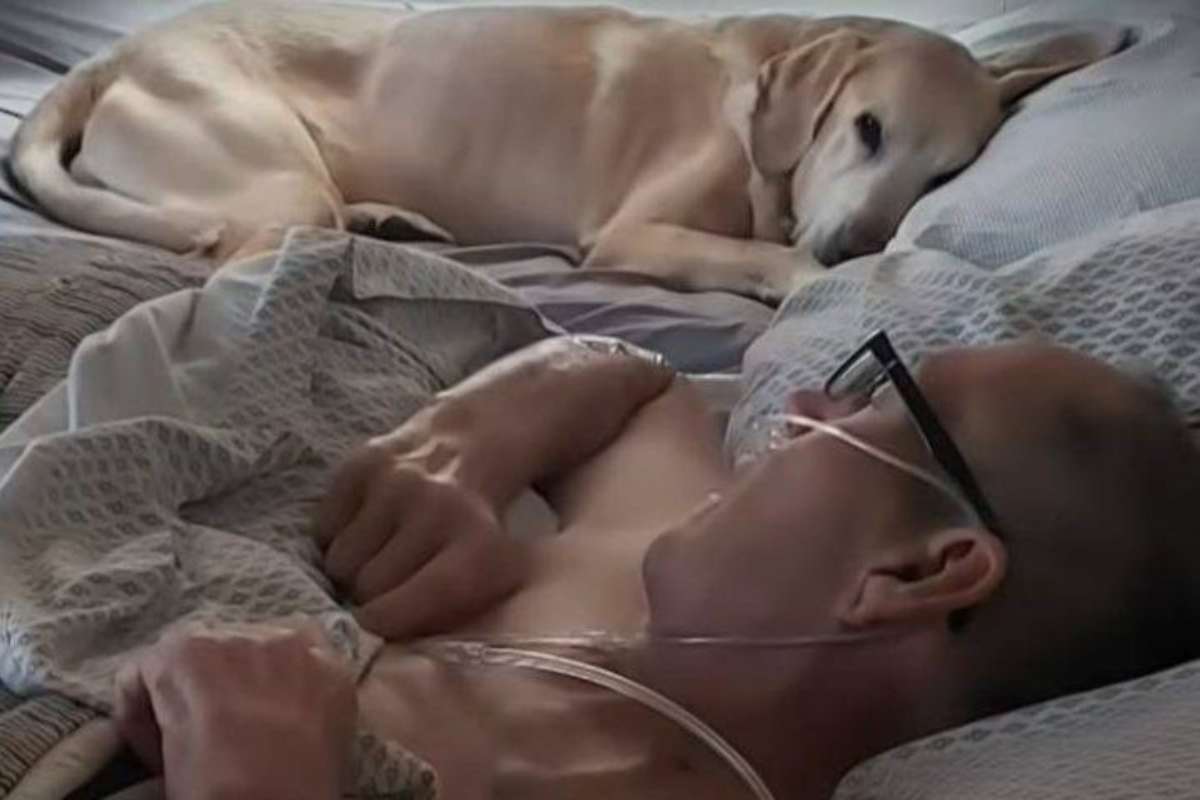 Il legame indissolubile tra il cane Gunner e il suo umano Daniel