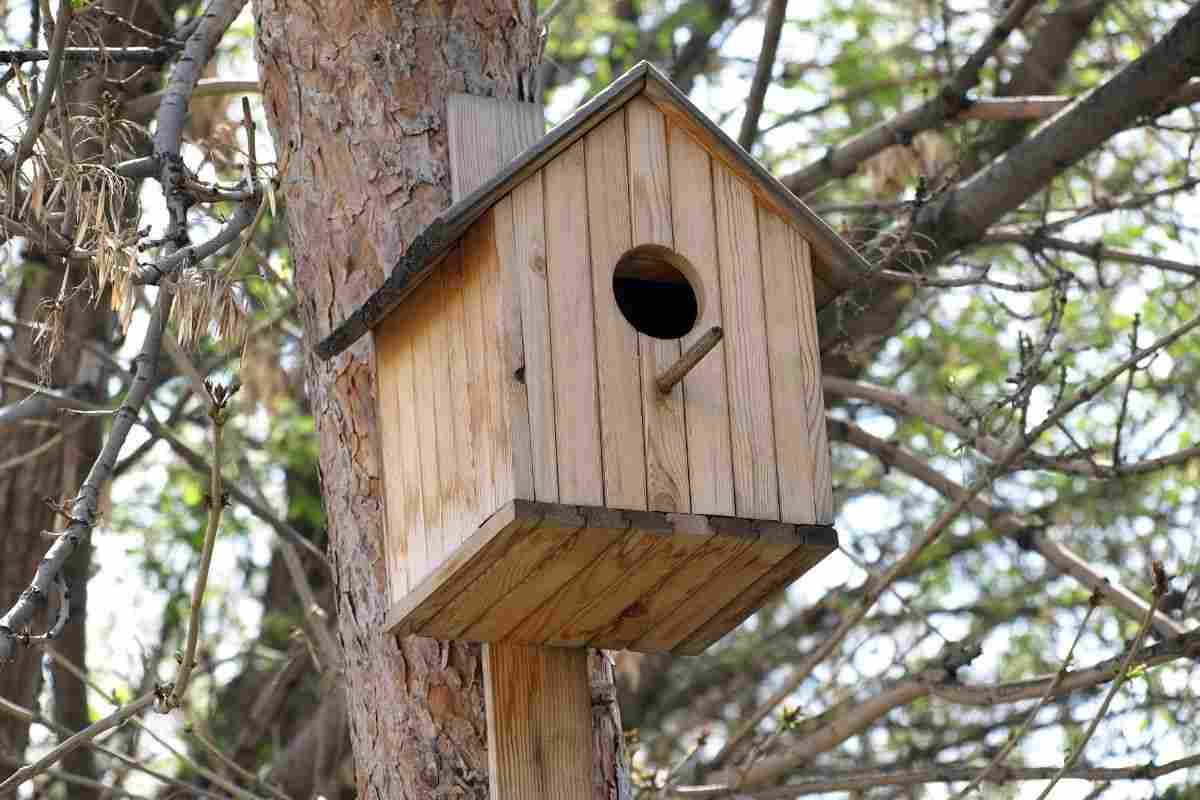 casetta legno