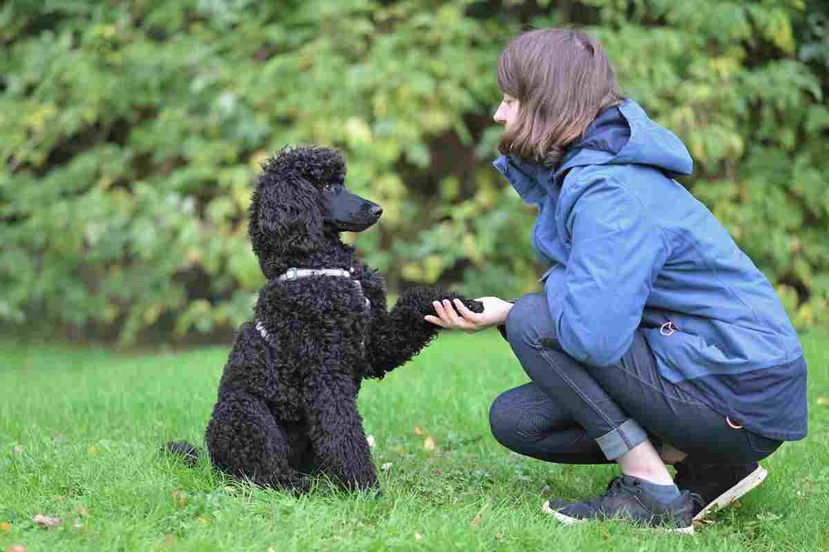 cane e padrona