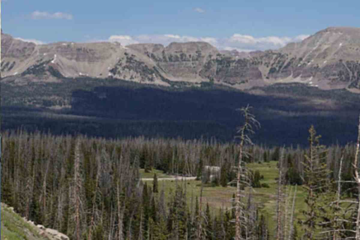 montagne utah