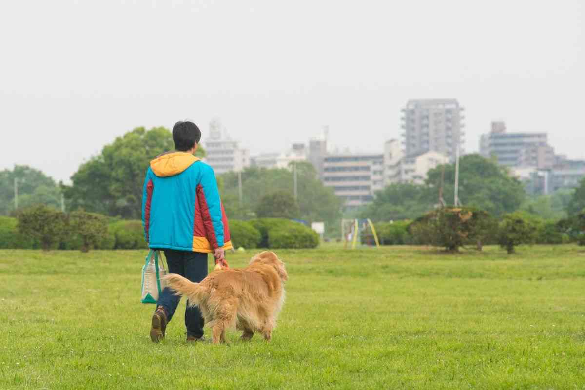 cane al parco