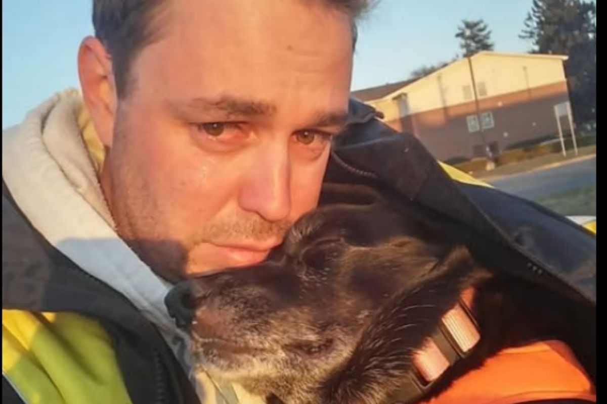 cane e padrone