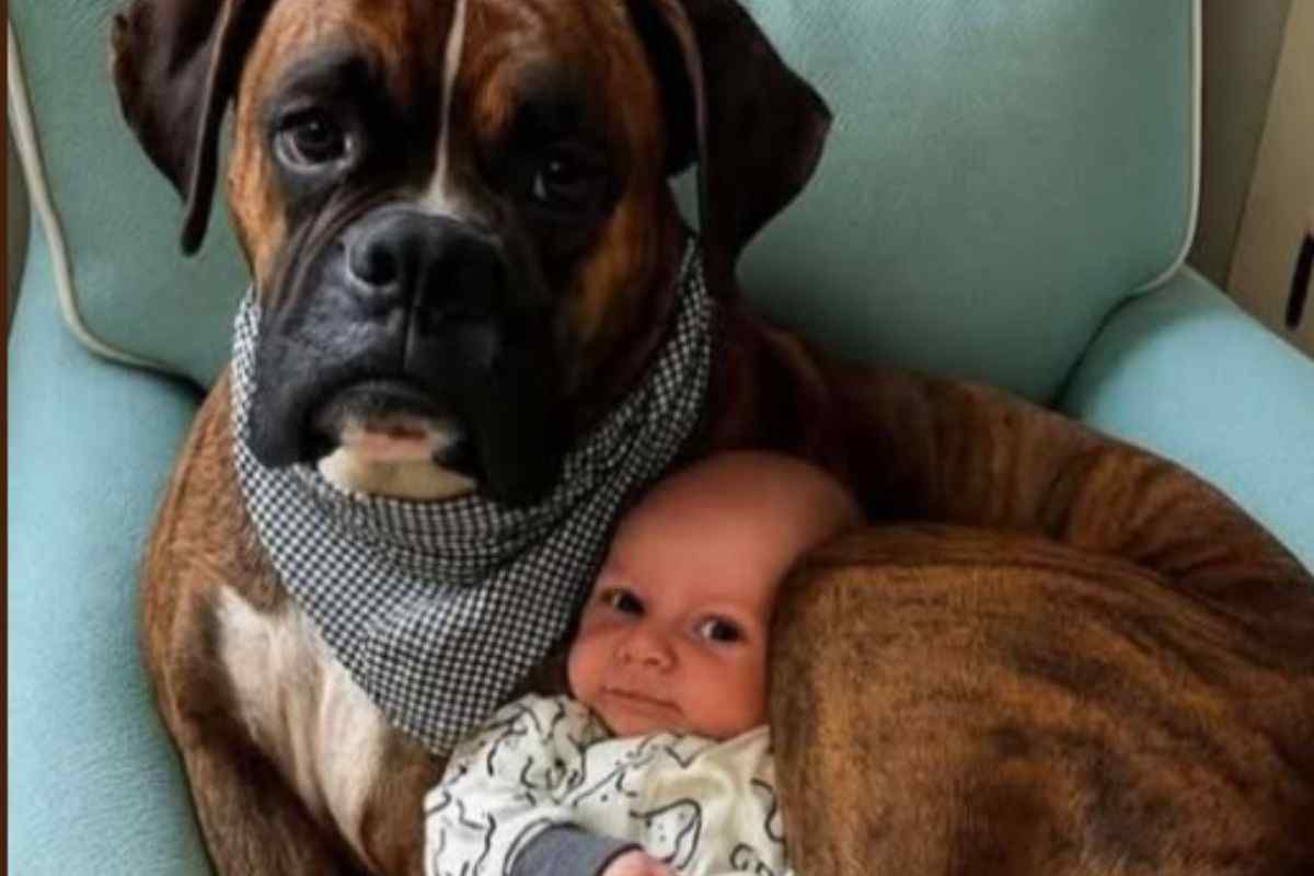 cane e neonato