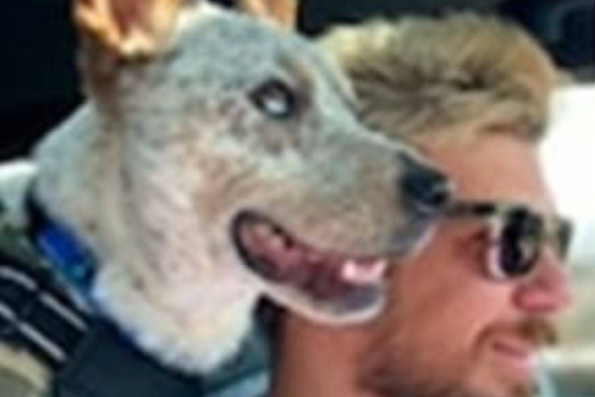 Duke e nuovo padrone