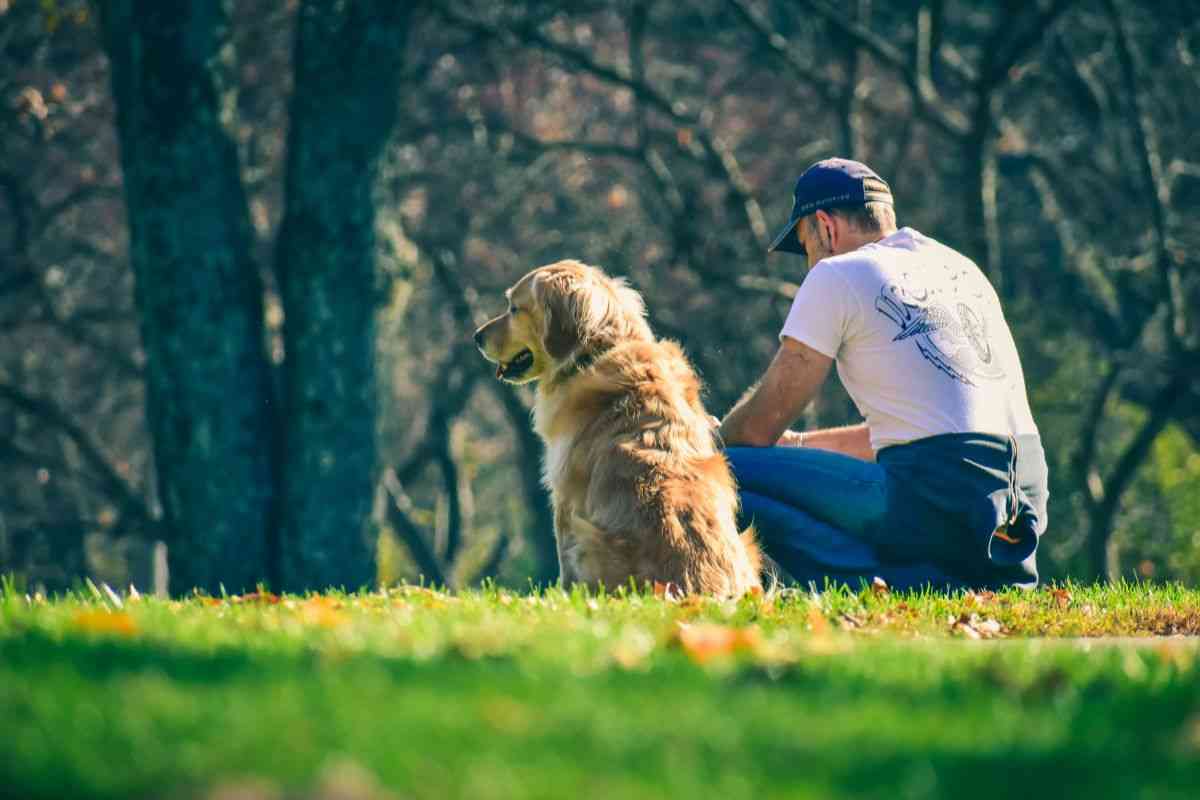 cane e padrone al parco