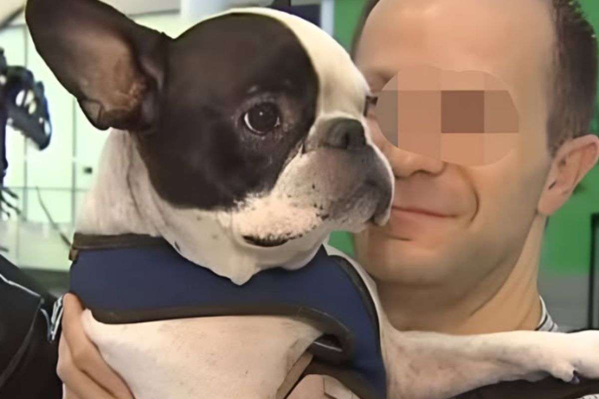 cane e padrone