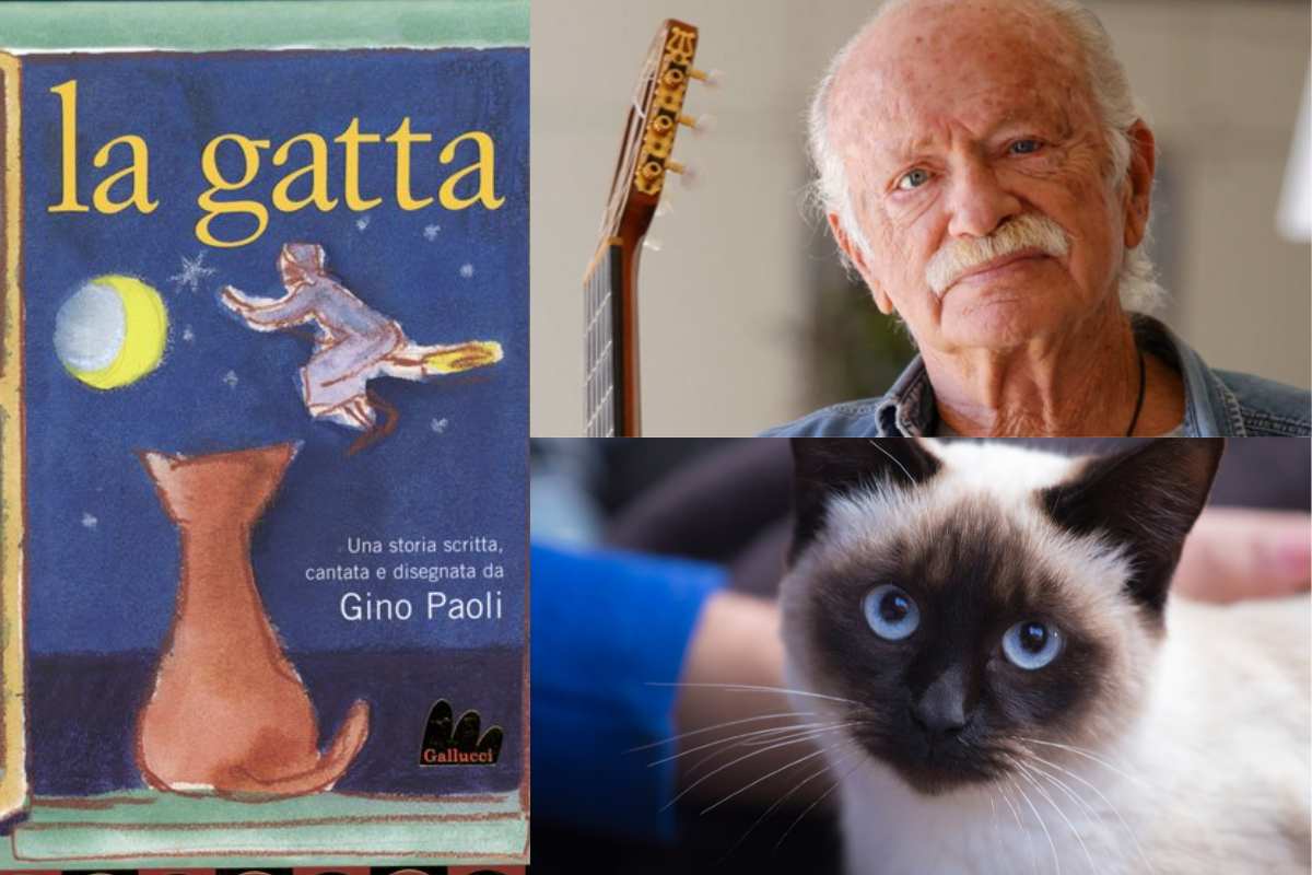 la gatta di Gino Paoli