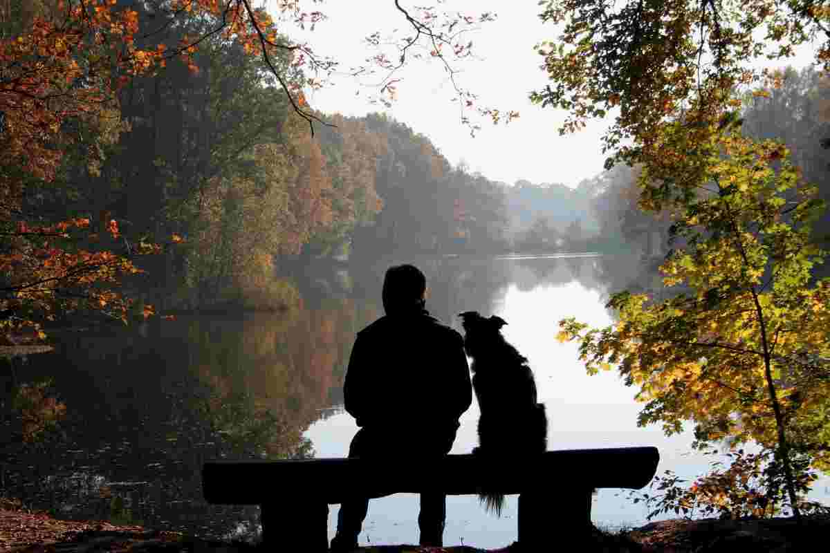 cane e padrone al parco