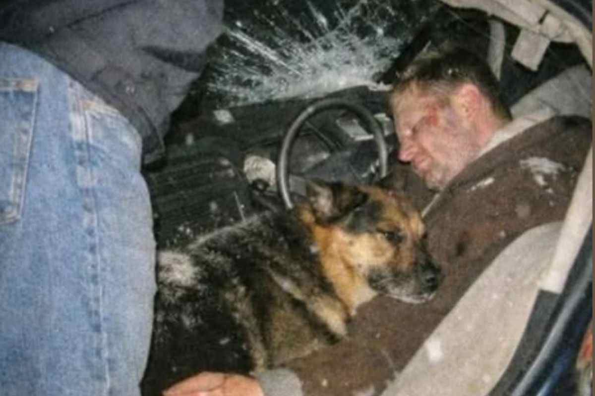 incidente d'auto