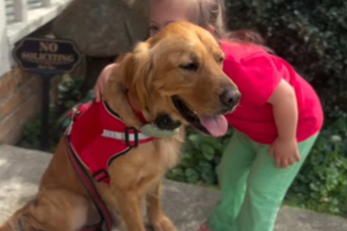 cane e bambina
