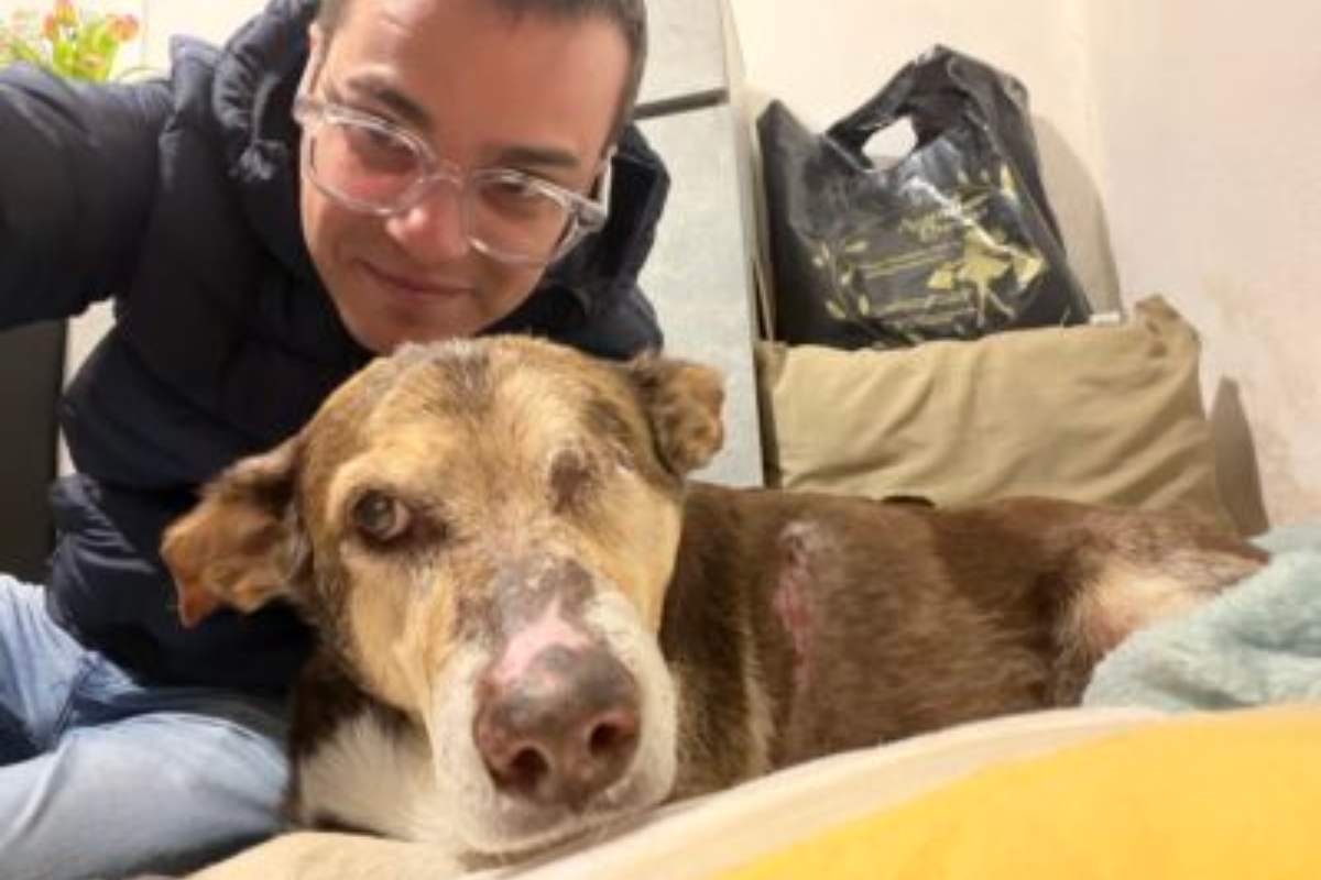 enrico rizzi con cane anziano