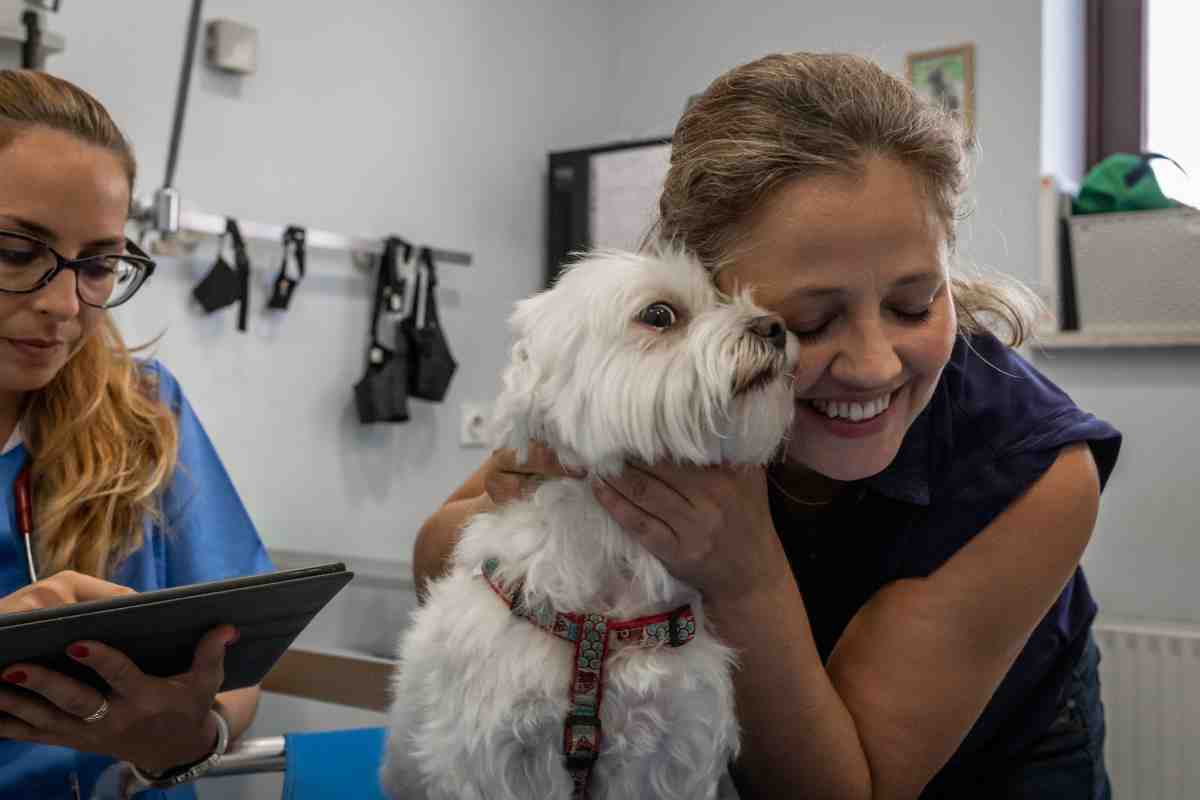 in uno studio medico, una donna accarezza un cane